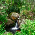 fazenda catucaba atividades caminhadas cachoeira 150x150