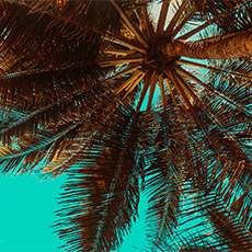 four positive planet principles
