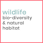 wildfife-planet related principle
