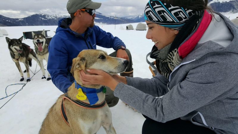 Positive Travel Activity Guide Dog Sledding Camp, girl taking care of a dog