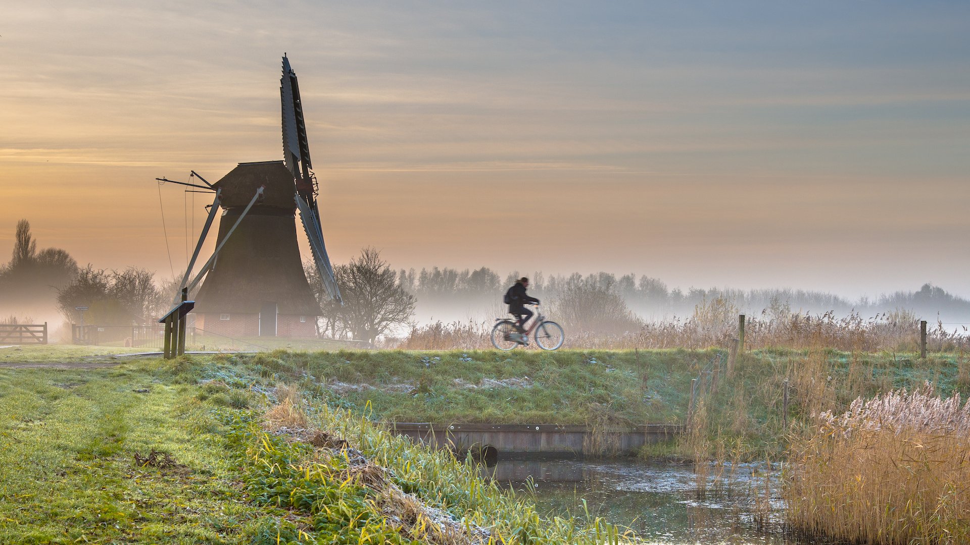cyclist in early morning landscape PDYV2AV