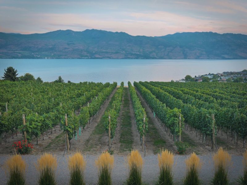 Positive travel guide BC Okanagan Wine Country 