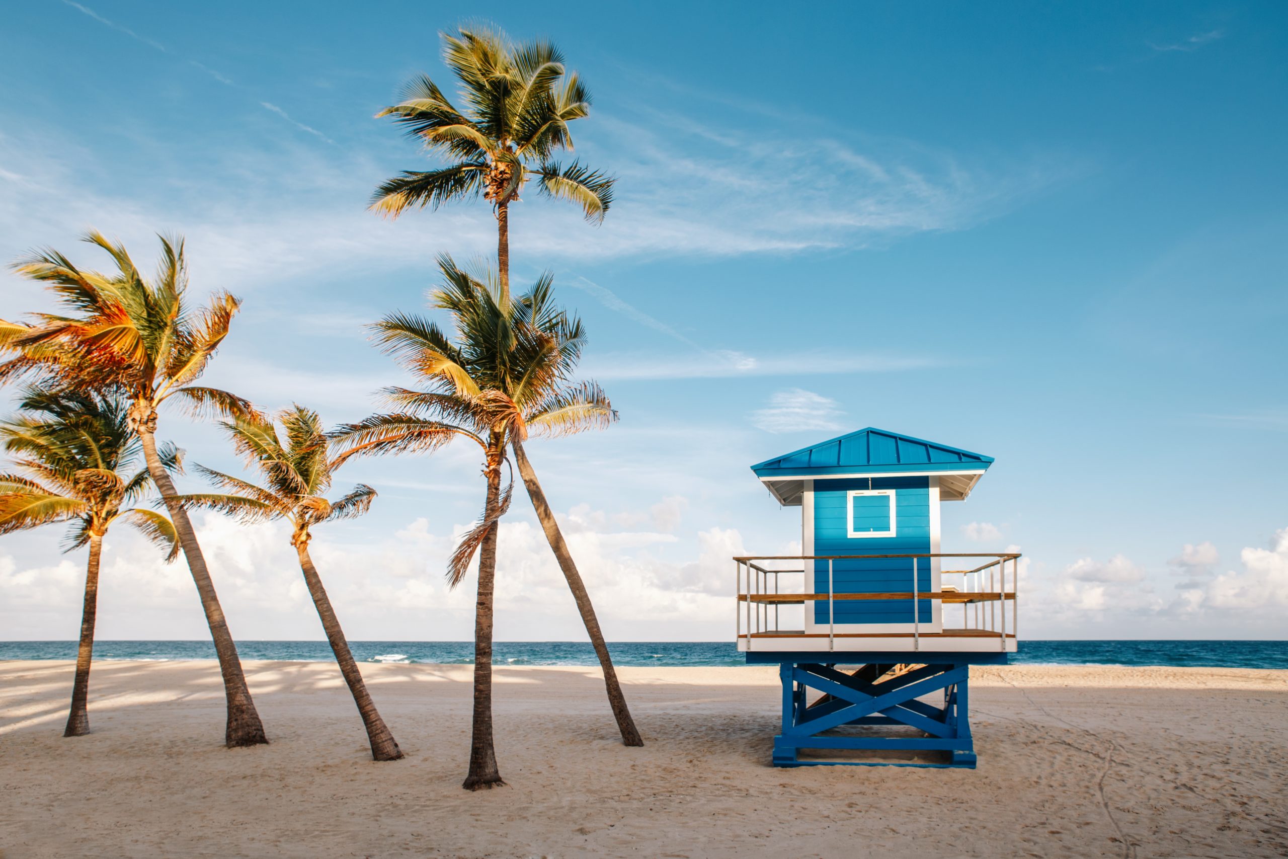 lifeguard-house-tropical-landscape-palm-trees-beach-empty-hollywood-ocean-sea-sunset-florida-america_t20_rLPVJb North America