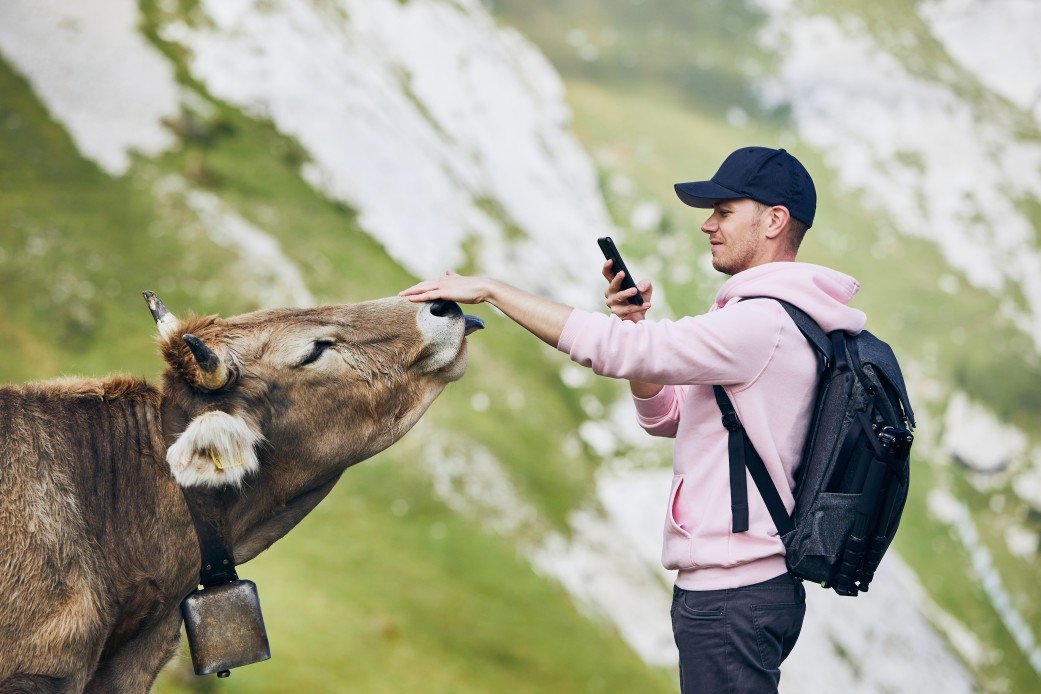 Positive Travel Sustainable Travel Taking a photo of a Swiss Cow