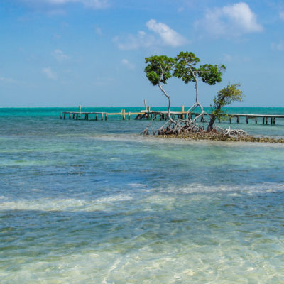 tropical-vacation-crystal-clear-blue-water-in-belize_t20_jRdQvv